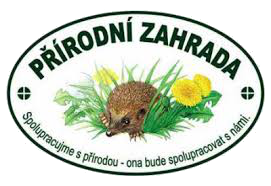 PZ logo transparent